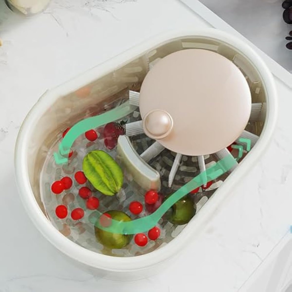 fruit-cleaner-spinner-manual-fruit-washe-6.jpg