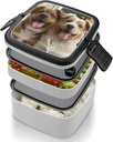 stackable-double-layer-bento-box-funny-d-4.jpg