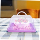 plastic-cake-boxes-for-birthday-cake-con-4.jpg