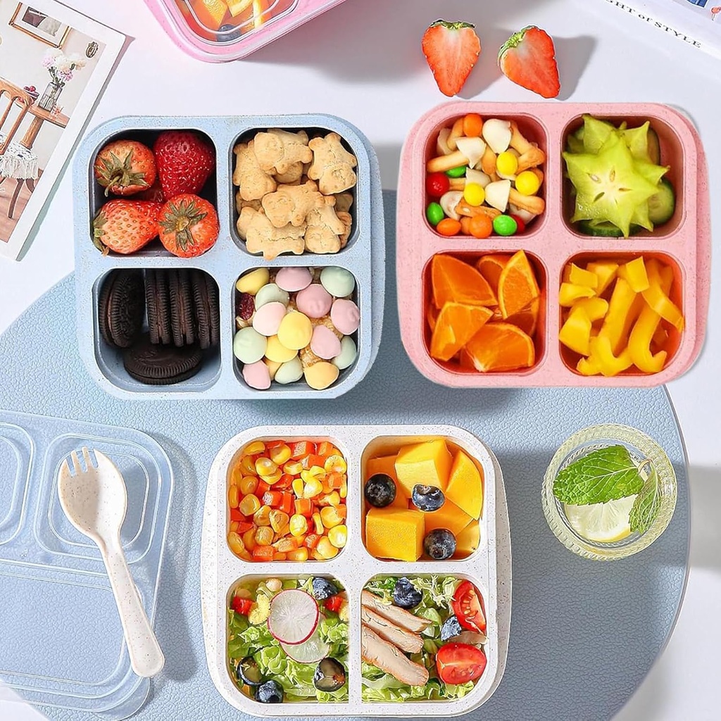 bento-snack-boxes---4-compartment-condim-5.jpg