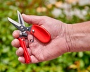 ergocut-dead-header-2.jpg