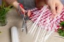kuhn-rikon-kitchen-shears-universal-4.jpg
