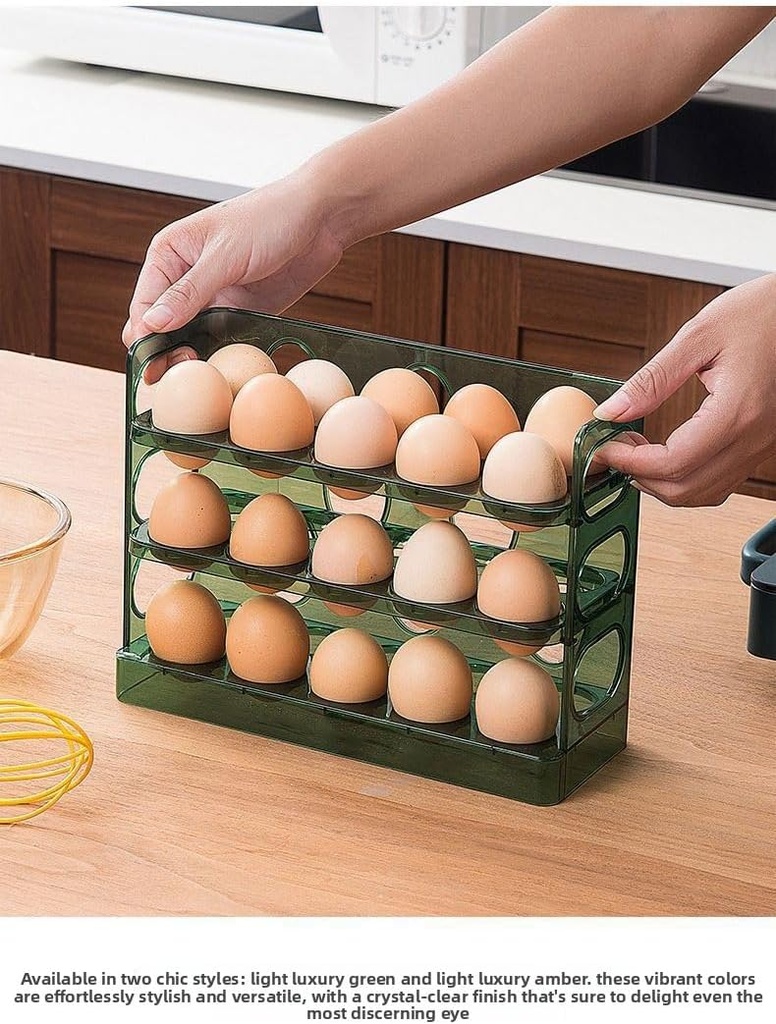 refrigerator-egg-rack-refrigerator-autom-2.jpg